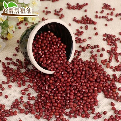 新到2024年东北新红小豆珍珠粒 珍珠红小豆 红豆 手选红小豆 1件