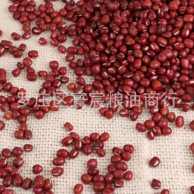 新到2024年东北新红小豆珍珠粒 珍珠红小豆 红豆 手选红小豆 1件图4