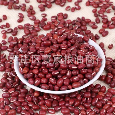 2025批发成品东北新红小豆 农安红小豆 机选红豆 农家大粒红小豆 2件图5
