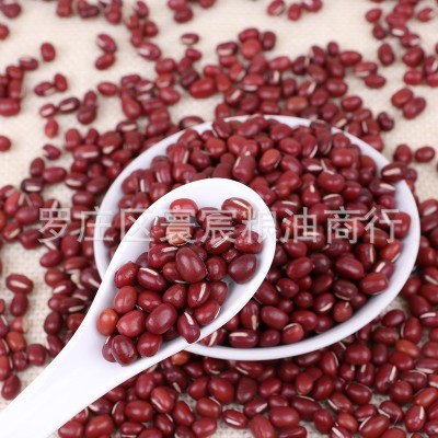 2025批发成品东北新红小豆 农安红小豆 机选红豆 农家大粒红小豆 2件图4