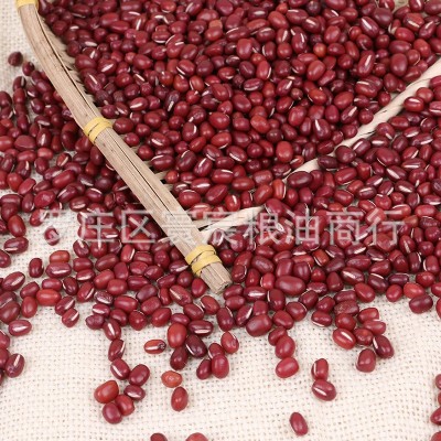 2025批发成品东北新红小豆 农安红小豆 机选红豆 农家大粒红小豆 2件图2