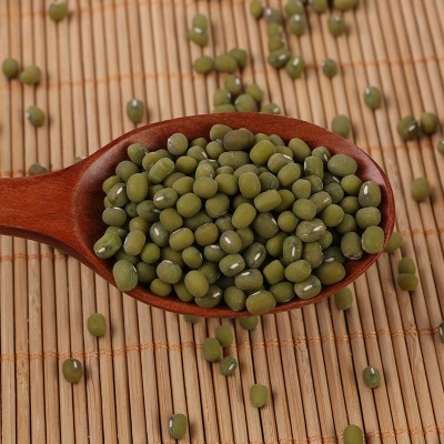 大产区毛绿豆批发绿豆烫易开花易出沙糕点批发五谷杂粮毛绿豆 1件图2