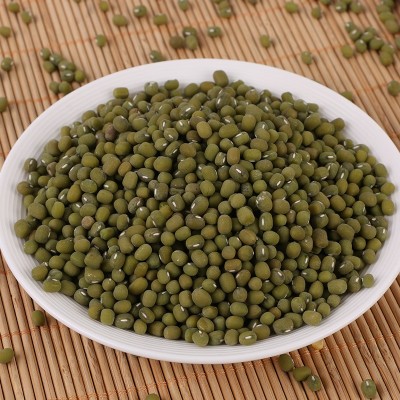 大产区毛绿豆批发绿豆烫易开花易出沙糕点批发五谷杂粮毛绿豆 1件图3