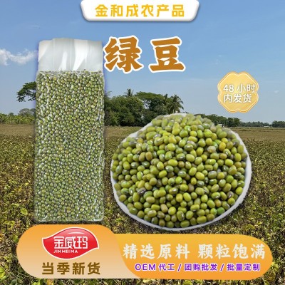 2025新上市【厂家直销】金威玛优质绿豆批发原生态绿豆颗粒饱满 1件