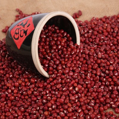 产地货源农家自产红小豆散装新货小红豆厂家直销五谷杂粮批发 2件图3