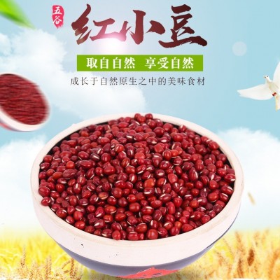 产地货源农家自产红小豆散装新货小红豆厂家直销五谷杂粮批发 2件