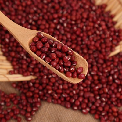 产地货源农家自产红小豆散装新货小红豆厂家直销五谷杂粮批发 2件图2