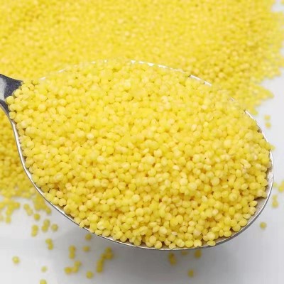 批发内蒙小米 河北小米 新黄小米 宝宝米杂粮米量大从优 现货供应 2件图2