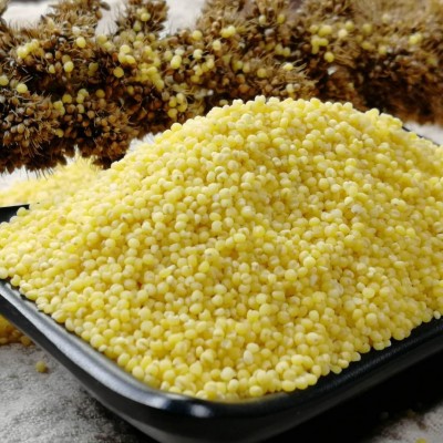 批发内蒙小米 河北小米 新黄小米 宝宝米杂粮米量大从优 现货供应 2件图4