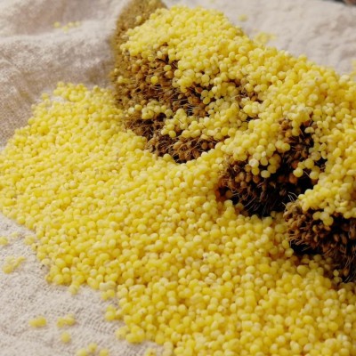 批发内蒙小米 河北小米 新黄小米 宝宝米杂粮米量大从优 现货供应 2件图3