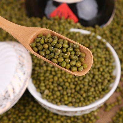 现货供应农家特产绿豆 特产东北绿豆 五谷杂粮 粗粮 批发明绿豆 50件