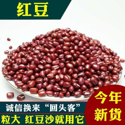 东北红豆大粒红小豆红色粮食赤豆农产品食用批发熬粥原料东北直供 50件