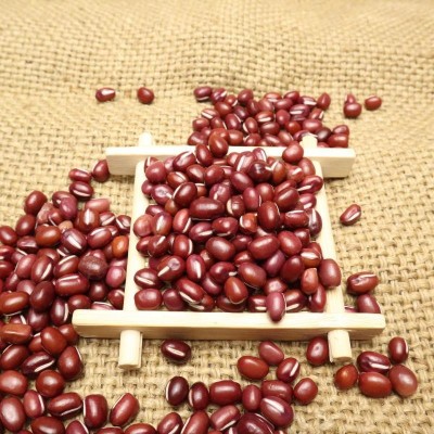 东北红豆大粒红小豆红色粮食赤豆农产品食用批发熬粥原料东北直供 50件图3