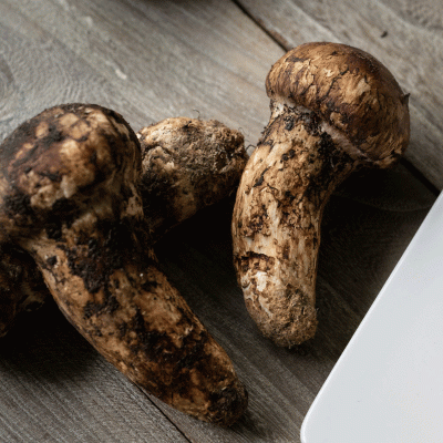 产地直供食用菌新鲜松茸散装500g云南特产煲汤新鲜现货批发鲜菌 2件图2