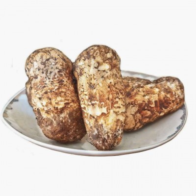 产地直供食用菌新鲜松茸散装500g云南特产煲汤新鲜现货批发鲜菌 2件图4