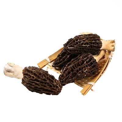 2021新鲜羊肚菌1000g菌菇土特产煲汤酒店餐饮食材批发产地直供 2KG图5