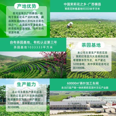 横县茉莉花茶2024新茶特选级别浓香型蒙顶高山绿茶工厂加工批发 20斤图2