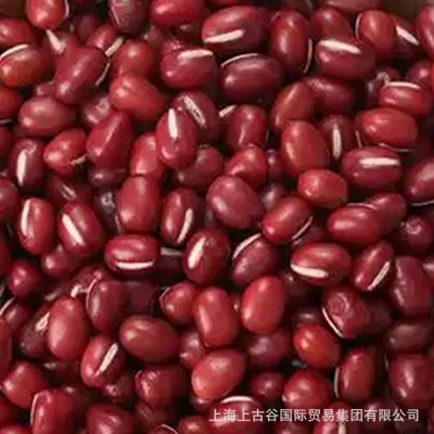 东北红豆大颗粒小颗粒 红小豆瓣厂家直发 40件图4