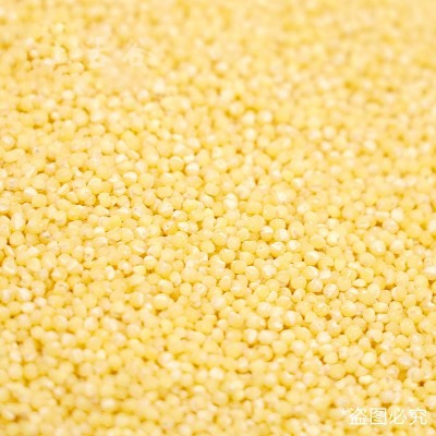 小米山西小米敖汉河北小米 厂家直发 40件图2