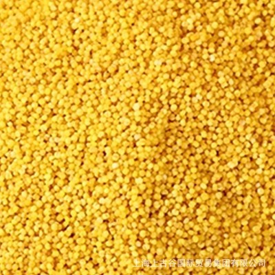 小米山西小米敖汉河北小米 厂家直发 40件