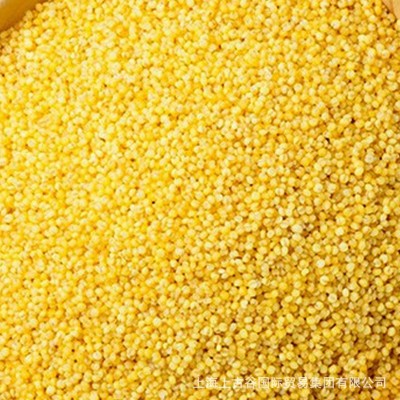 小米山西小米敖汉河北小米 厂家直发 40件图4