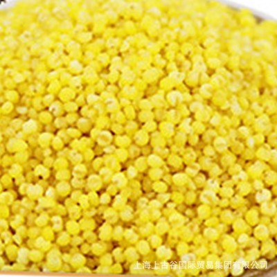 小米山西小米敖汉河北小米 厂家直发 40件图5