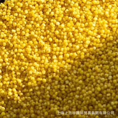 小米山西小米敖汉河北小米 厂家直发 40件图3