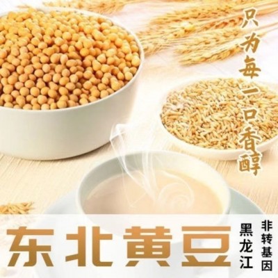 东北黄豆农家自种大豆生豆芽打豆浆小粒2024年新黄豆发豆芽的黄豆 1件