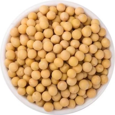 东北黄豆农家自种大豆生豆芽打豆浆小粒2024年新黄豆发豆芽的黄豆 1件图5