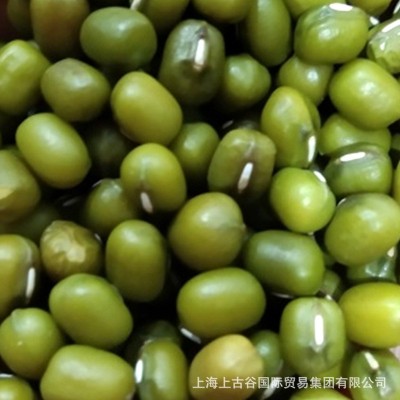 东北绿豆大粒王绿豆 厂家直发 40件图2