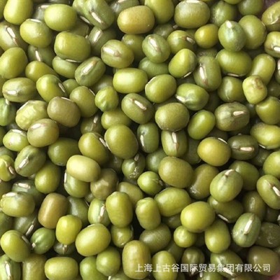 东北绿豆大粒王绿豆 厂家直发 40件图5