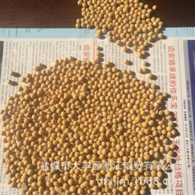 现货批发五谷杂粮粗粮 美工进口大黄豆 现磨豆浆粗粮豆制品原料 100吨图4