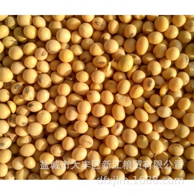 现货批发五谷杂粮粗粮 美工进口大黄豆 现磨豆浆粗粮豆制品原料 100吨图5