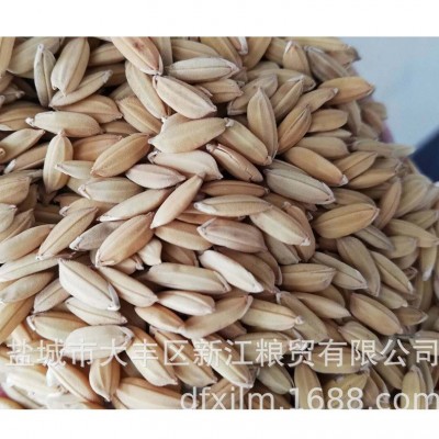 盐城大丰稻谷稻花香 水稻吹风过筛过比重，净粮标包 2吨图5