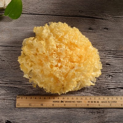 白木耳雪耳银耳大花十斤 产地批发商用批发 2箱