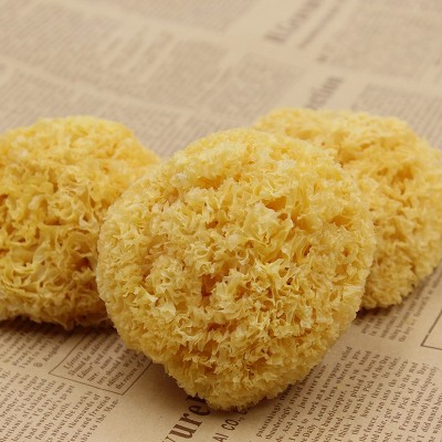 产地直供古田丑耳银耳白木耳无硫黄金耳农产品干货500g批发有机 2件图2