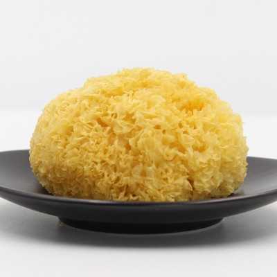 产地直供古田丑耳银耳白木耳无硫黄金耳农产品干货500g批发有机 2件图4