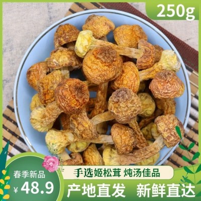 新货姬松茸干货巴西菇食用菌木耳香菇250g散装松茸菌炖汤佳品包邮 5克图2