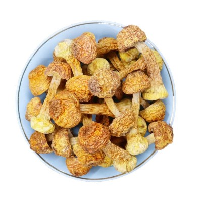 新货姬松茸干货巴西菇食用菌木耳香菇250g散装松茸菌炖汤佳品包邮 5克图5