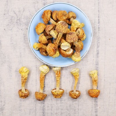 新货姬松茸干货巴西菇食用菌木耳香菇250g散装松茸菌炖汤佳品包邮 5克图3