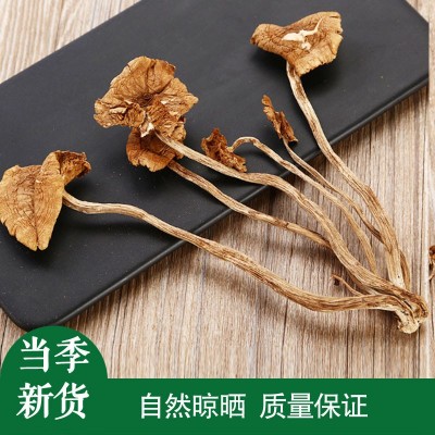 农家自种500g 半开伞茶树菇 食用菌干货菌菇炖汤煲汤炒制香嫩脆 4斤图5
