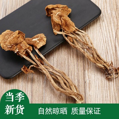 农家自种500g 半开伞茶树菇 食用菌干货菌菇炖汤煲汤炒制香嫩脆 4斤