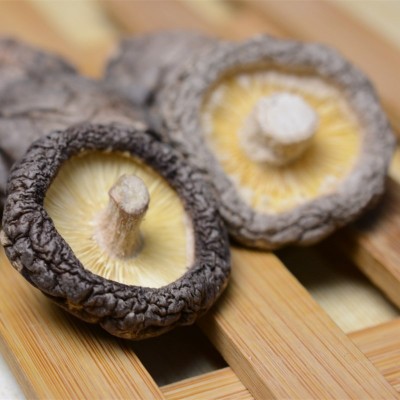 西峡大香菇冬厚菇 各种规格 大小均匀肉厚特产山货干香菇批发 2件