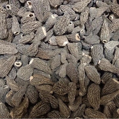 云南羊肚菌 柄羊肚菌干货 干羊肚菌 产地直供 250g/袋有机 2袋图2