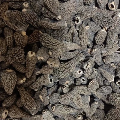 云南羊肚菌 柄羊肚菌干货 干羊肚菌 产地直供 250g/袋有机 2袋图3