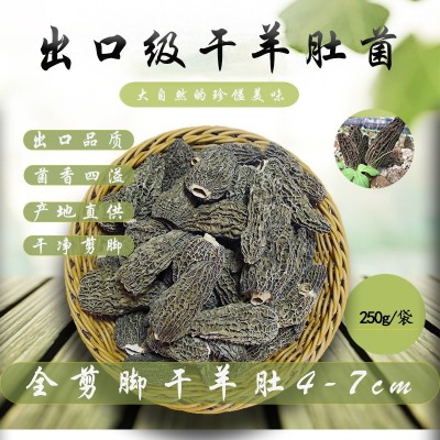 云南羊肚菌 柄羊肚菌干货 干羊肚菌 产地直供 250g/袋有机 2袋