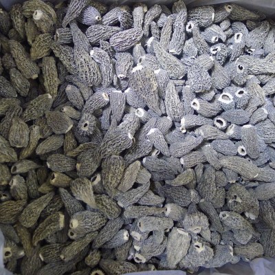 云南羊肚菌 柄羊肚菌干货 干羊肚菌 产地直供 250g/袋有机 2袋图4