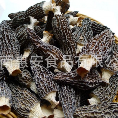 云南羊肚菌 干羊肚菌 种植羊肚菌 煲汤食材 250g/袋山珍美味头茬 2袋图2