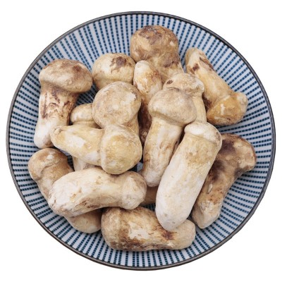 云南香格里拉速冻松茸冻松茸松茸整支3-5cm5-7cm7-9cm高原珍品 5千克图3