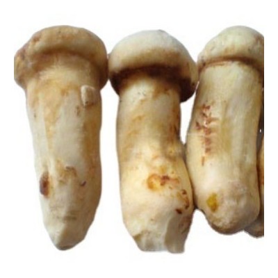 云南香格里拉速冻松茸冻松茸松茸整支3-5cm5-7cm7-9cm高原珍品 5千克图5